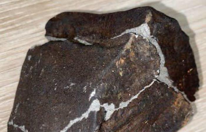 A French woman was woken up by a loud bang, found a meteorite in the garden in the morning